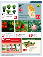 Promos Terreau dans le catalogue "25 JOURS AUCHAN" de Auchan Hypermarché Terreau en promo dans le catalogue Auchan Hypermarché à la page 45