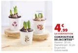 Composition de jacinthe dans le catalogue Super U