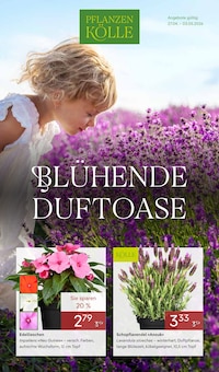 Lavendel im Pflanzen Kölle Prospekt "BLÜHENDE DUFTOASE" mit 14 Seiten (Berlin)