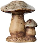 Aktuelle Kerzen Angebote bei Rusta in Lübeck Aktuelles Pilz-Kerze Angebot bei Rusta in Lübeck ab 2,49 €