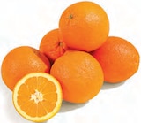Netto mit dem Scottie Großröhrsdorf - Orangen Angebot im Prospekt Orangen bei Netto mit dem Scottie im Großröhrsdorf Prospekt für 1,59 €