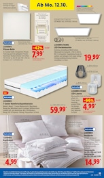 Laterne Angebot & Preis im aktuellen Lidl Prospekt Laterne Angebot im aktuellen Lidl Prospekt auf Seite 37