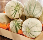 Promo Melon Charentais Jaune à 2,98 € dans le catalogue Intermarché Express à Toulouse
