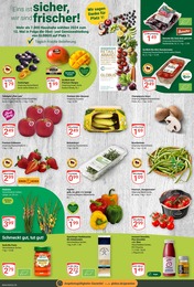 Pflanzen Angebot im aktuellen GLOBUS Prospekt auf Seite 4