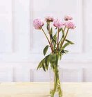 Bouquet de 5 pivoines - LES PRODUITS U - Super U à Antibes Bouquet de 5 pivoines - LES PRODUITS U en promo chez Super U Antibes à 5,99 €