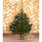 Epicea en promo chez Carrefour Epicea dans le catalogue Carrefour