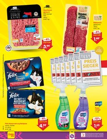 Katzenfutter im Netto Marken-Discount Prospekt "Aktuelle Angebote" mit 76 Seiten (Potsdam)