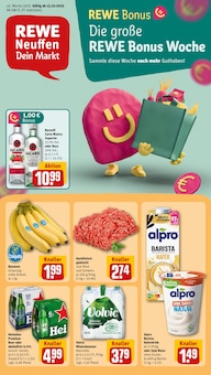 REWE Neuffen Prospekt der aktuellen Woche, gültig von 13.10.2025 bis 18.10.2025 Aktueller REWE Neuffen Prospekt "Dein Markt" mit 20 Seiten