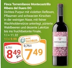 Montecastrillo im Angebot bei GLOBUS in Altenburg Montecastrillo Angebote von Finca Torremilanos bei GLOBUS Altenburg für 7,49 €