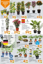 Weihnachten im Globus-Baumarkt Prospekt in Weinstadt Aktueller Globus-Baumarkt Prospekt mit Weihnachten, "Immer eine Idee besser", Seite 6