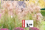 Angebot im Blumen Ostmann Visbek Prospekt Blumen Ostmann Visbek Prospekt mit im Angebot für 5,99 €