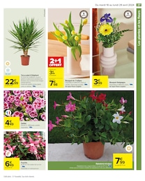 Offre Fleurs dans le catalogue Carrefour du moment à la page 39