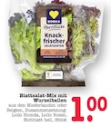 Herzstücke Knack-frischer Salatgarten bei E center im Weinheim Prospekt für 1,00 €