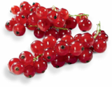 Johannisbeeren von HEIMAT im aktuellen Netto Marken-Discount Prospekt