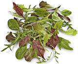 Metro Krefeld - Wildkräutersalat Angebot im Prospekt Wildkräutersalat bei Metro im Krefeld Prospekt für 5,87 €