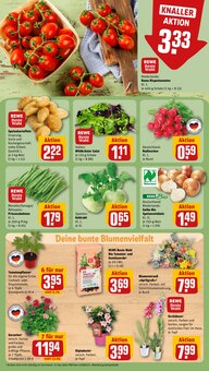 Gemüse im REWE Prospekt "Dein Markt" mit 26 Seiten (Gelsenkirchen)