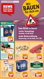 REWE Prospekt für Garrel mit 28 Seiten REWE Prospekt für Garrel: "Dein Markt", 28 Seiten, 11.08.2025 - 16.08.2025
