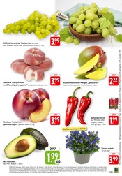 Aktueller E center Prospekt mit Mango, "Aktuelle Angebote", Seite 3