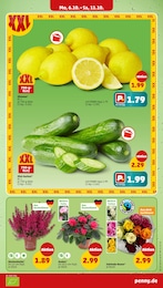 Gurken Angebot & Preis im aktuellen Penny Prospekt Gurken Angebot im aktuellen Penny Prospekt auf Seite 5