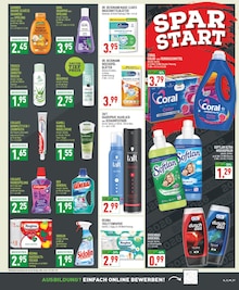 Zimmerpflanzen im Marktkauf Prospekt "Aktuelle Angebote" mit 26 Seiten (Essen)