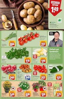 Gartenerde im REWE Prospekt "Dein Markt" mit 32 Seiten (Offenbach (Main))