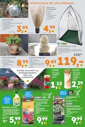Ähnliche Kühlbox Angebote im Prospekt "Immer eine Idee besser" von Globus-Baumarkt in Gladbeck Ähnliche Angebote wie Kühlbox im Prospekt "Immer eine Idee besser" auf Seite 9 von Globus-Baumarkt in Gladbeck
