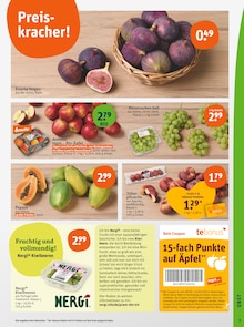 Äpfel im tegut Prospekt "tegut… gute Lebensmittel" mit 23 Seiten (Augsburg)