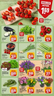 Tomaten im REWE Prospekt "Dein Markt" mit 26 Seiten (Kassel)