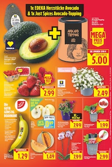 Obst im E center Prospekt "Aktuelle Angebote" mit 27 Seiten (Berlin)