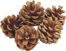 Meuble De Jardin - Gifi Meuble De Jardin à 1,25 € dans le catalogue Gifi "Les magifiques tables de Noël"
