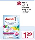 Farb- & Schmutz-Fangtücher Angebote von Domol bei Rossmann Marl für 1,29 €