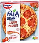 REWE - La Mia Grande Salame Piccante Angebot im Prospekt La Mia Grande Salame Piccante bei REWE im Prospekt "" für 3,49 €