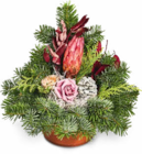 Grabschale im Angebot bei Netto Marken-Discount in Karlsruhe Grabschale Angebote bei Netto Marken-Discount Karlsruhe für 8,99 €
