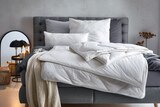 Aktuelle Kopfkissen Angebote bei Möbelzentrum Pforzheim in Stuttgart Aktuelles Ganzjahresbett ca. 135 x 200 cm Angebot bei Möbelzentrum Pforzheim in Stuttgart ab 17,99 €