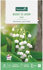 Muguet d'anjou - BOTANIC en promo chez Botanic Metz à 7,49 €