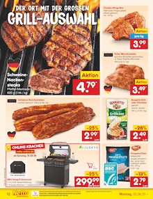 Gasgrill im Netto Marken-Discount Prospekt "Aktuelle Angebote" mit 66 Seiten (Mainz)
