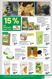 Kräuter im BayWa Bau- und Gartenmärkte Prospekt in Würzburg Aktueller BayWa Bau- und Gartenmärkte Prospekt mit Kräuter, "Innenausbau leicht gemacht", Seite 13