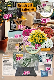 Kumquats Angebot & Preis im aktuellen Hornbach Prospekt Kumquats Angebot im aktuellen Hornbach Prospekt auf Seite 7