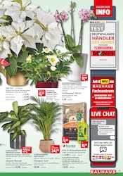 Aktueller BAUHAUS Prospekt mit Dünger, "Wenn's gut werden muss", Seite 13