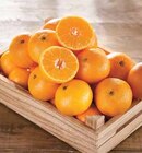 Promo Mandarine Bio à 1,99 € dans le catalogue Intermarché à Longueau