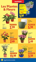 Offre Aménagement Extérieur dans le catalogue Lidl du moment à la page 28