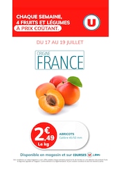 Prospectus Super U à Bourg Chapon, "CHAQUE SEMAINE, 4 FRUITS ET LÉGUMES À PRIX COÛTANT", 1 page de promos valables du 17/07/2025 au 19/07/2025