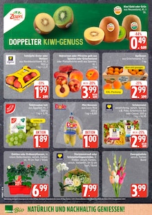 Blumen im aktuellen EDEKA Prospekt (Hamburg) Blumen im EDEKA Prospekt "Top Angebote" mit 27 Seiten (Hamburg)