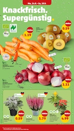 Bio im Penny Prospekt in Laatzen Aktueller Penny Prospekt mit Bio, "Wer günstig will, muss Penny.", Seite 2