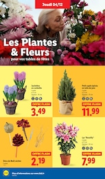 Offre Jacinthes dans le catalogue Lidl du moment à la page 42