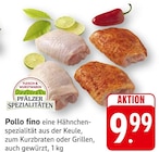 EDEKA Kröppen - Pollo fino Angebot im Prospekt Pollo fino bei EDEKA im Kröppen Prospekt für 9,99 €