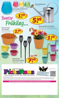 Blumentopf im Picks-Raus Prospekt "1000 GELEGENHEITEN FÜR HAUS, HOBBY UND GARTEN" mit 8 Seiten (Pforzheim)