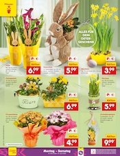 Aktueller Netto Marken-Discount Prospekt mit Blumen, "Aktuelle Angebote", Seite 28