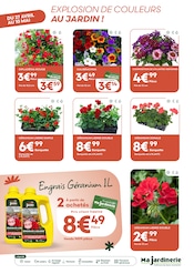 Plante Verte en promo dans le catalogue Ma Jardinerie à la page 2