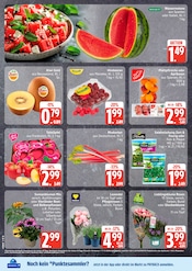 Pflanzen im EDEKA Prospekt in Cuxhaven Aktueller EDEKA Prospekt mit Pflanzen, "Top Angebote", Seite 8